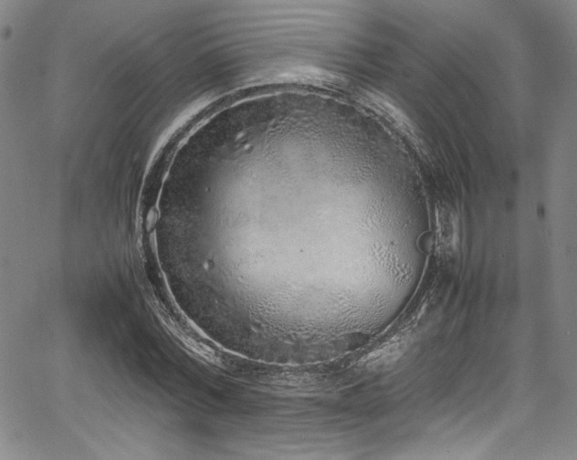 X0000067950780200604131434