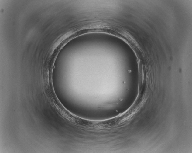 X0000067950781200604131434