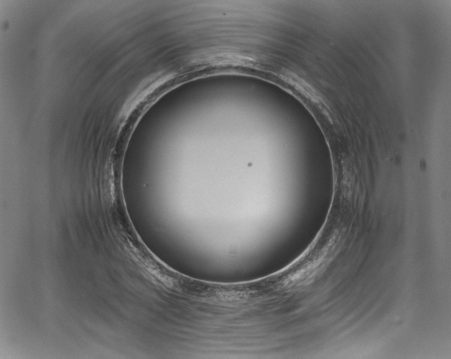 X0000067950782200604131434