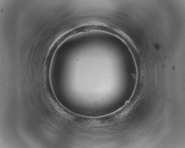 X0000067950783200604131434