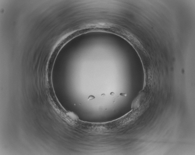 X0000067950784200604131434