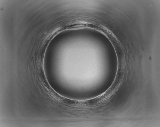 X0000067950785200604131434