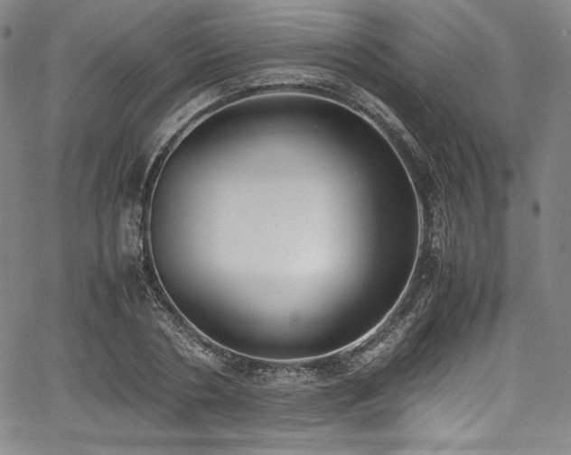 X0000067950786200604131434