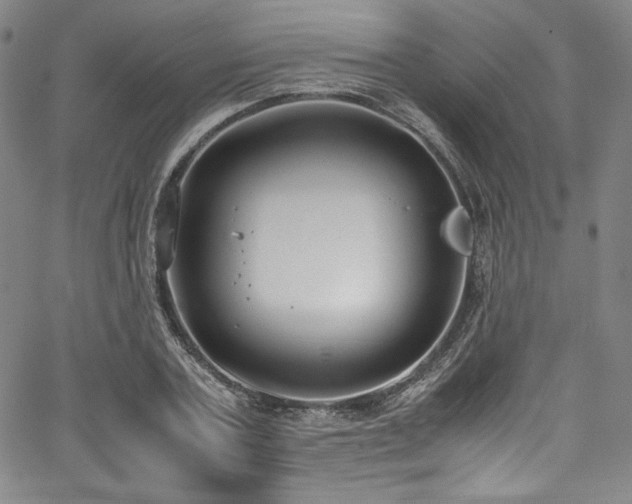 X0000067950787200604131434