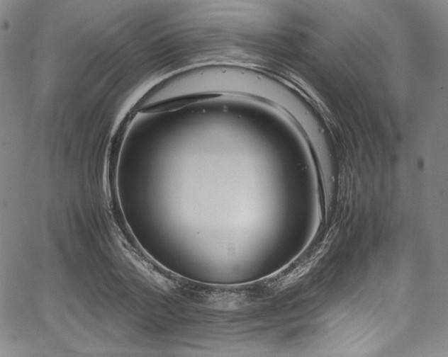 X0000067950788200604131434