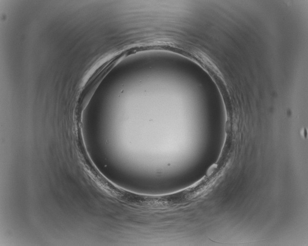 X0000067950789200604131434