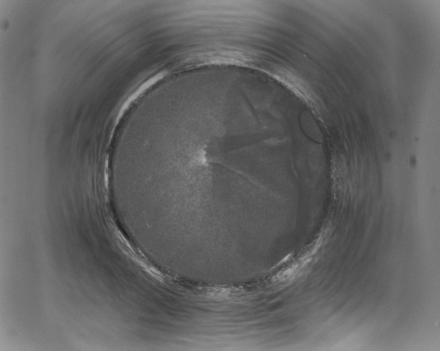 X0000067950790200604131434