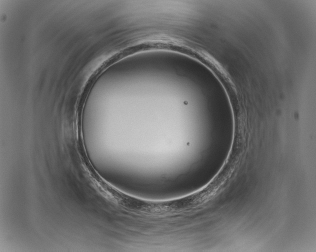 X0000067950791200604131434