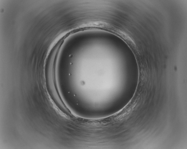 X0000067950792200604131434