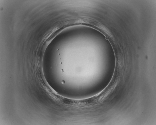 X0000067950793200604131434