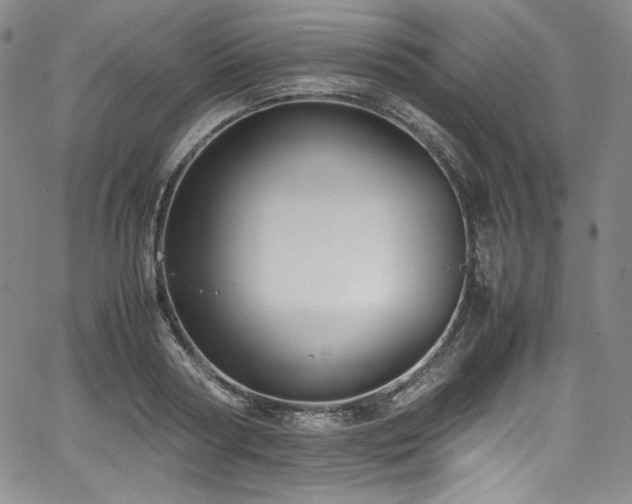 X0000067950794200604131434