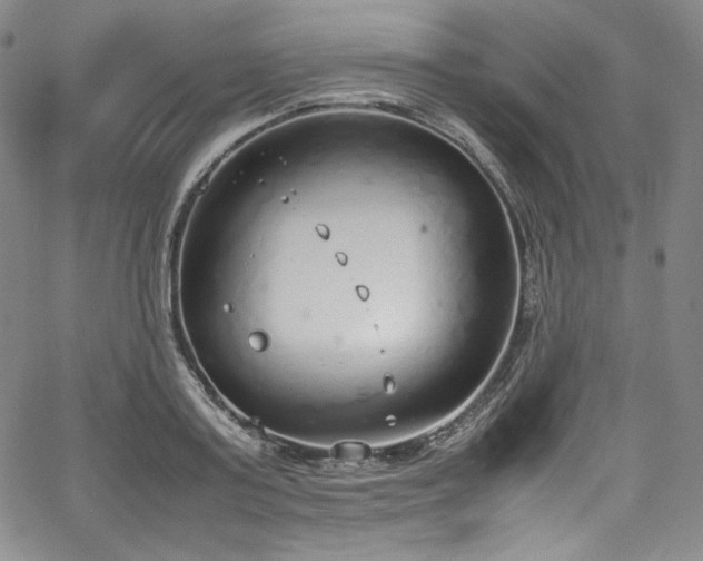 X0000067950795200604131434