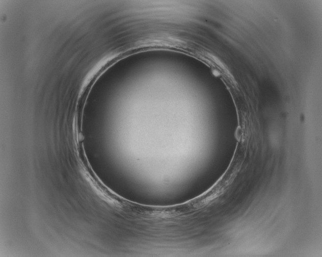 X0000067950796200604131434