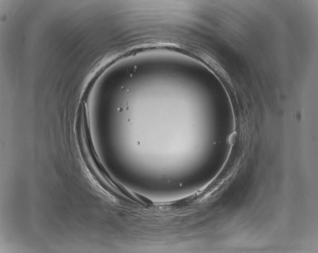 X0000067950797200604131434