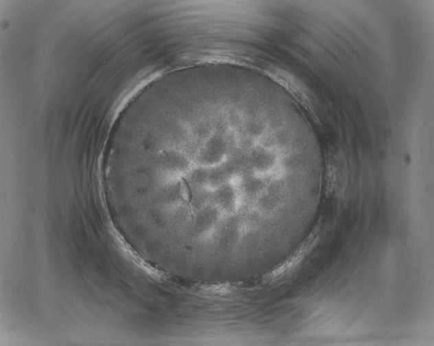 X0000067950798200604131434