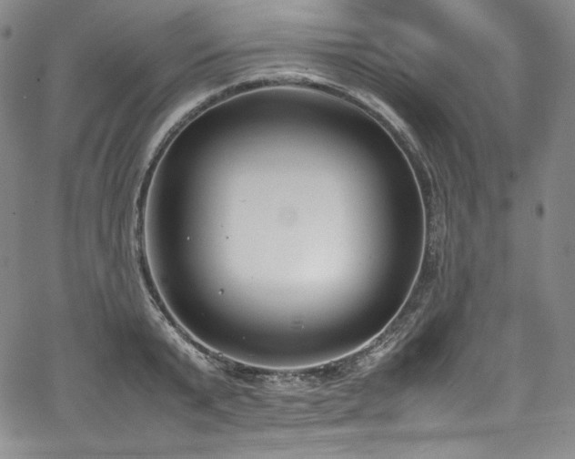 X0000067950799200604131434