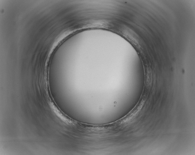 X0000067950800200604131434