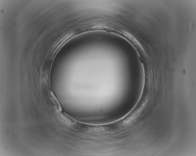 X0000067950801200604131434