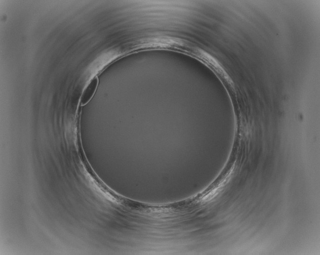 X0000067950802200604131434