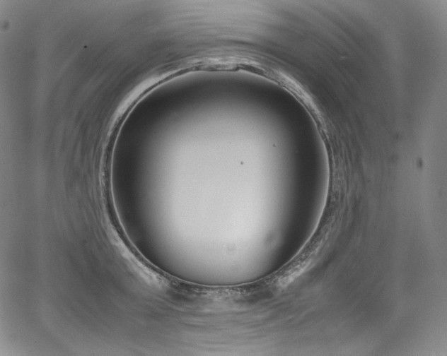 X0000067950803200604131434