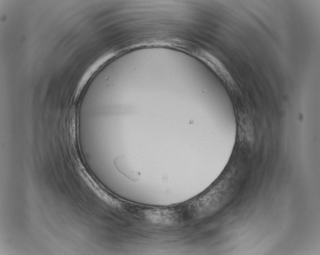 X0000067950804200604131434