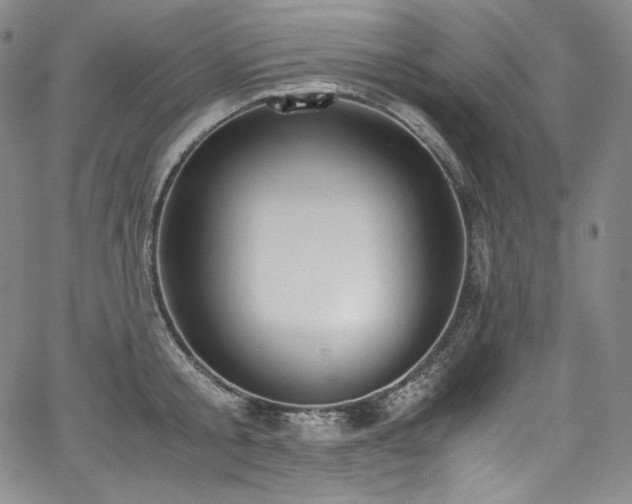 X0000067950805200604131434