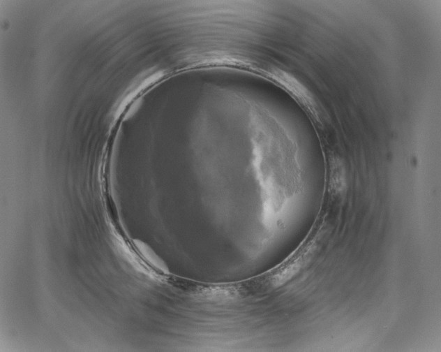 X0000067950806200604131434