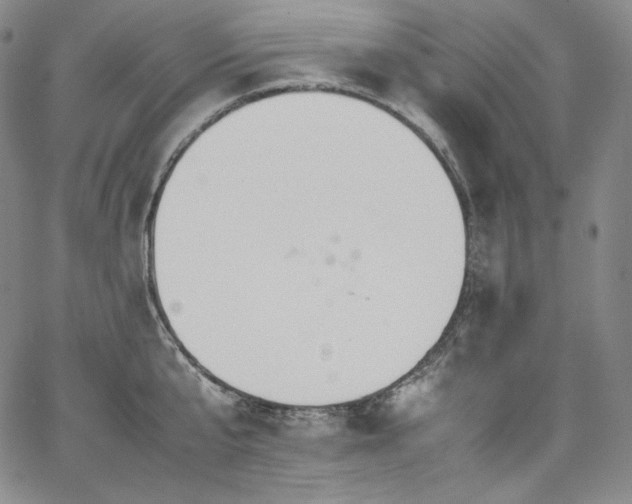 X0000067950807200604131434