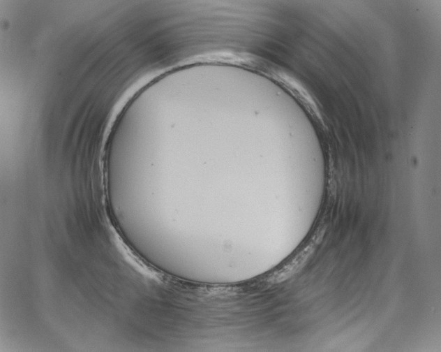 X0000067950808200604131434