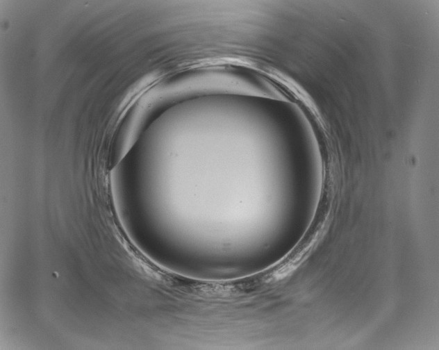 X0000067950809200604131434