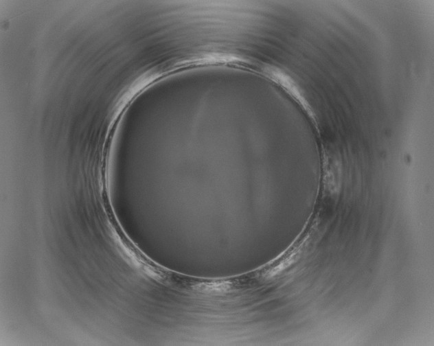 X0000067950810200604131434