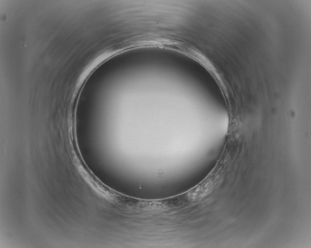 X0000067950811200604131434