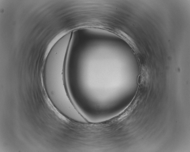 X0000067950812200604131434