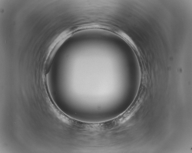 X0000067950813200604131434