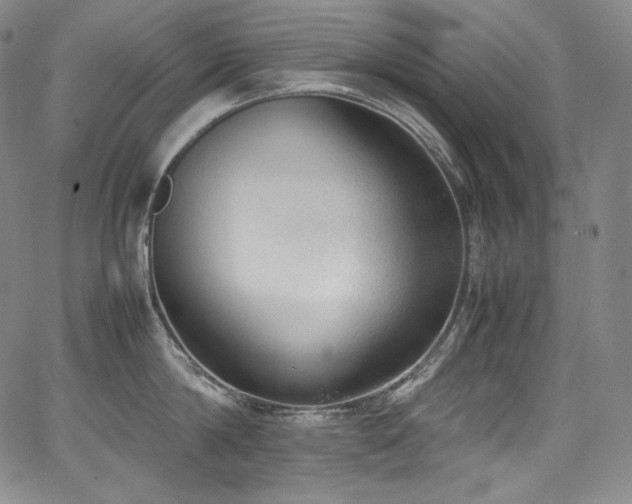 X0000067950814200604131434