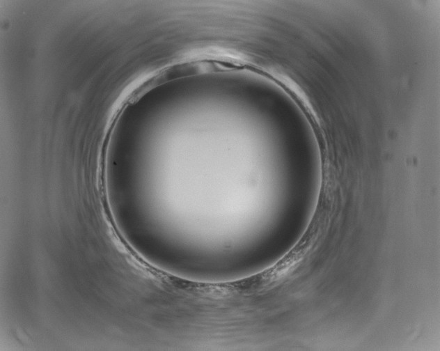 X0000067950815200604131434