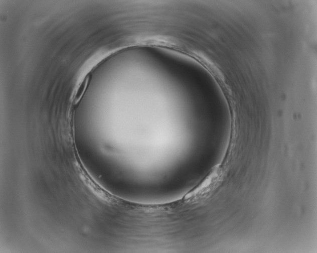 X0000067950816200604131434