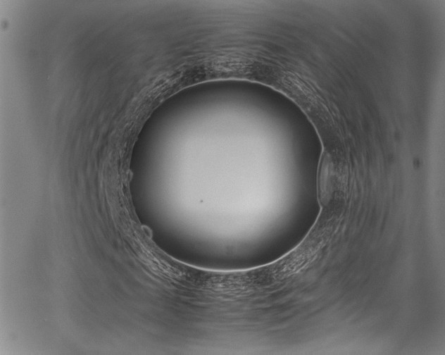 X0000067950817200604131433