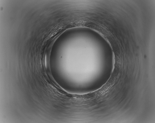 X0000067950818200604131433