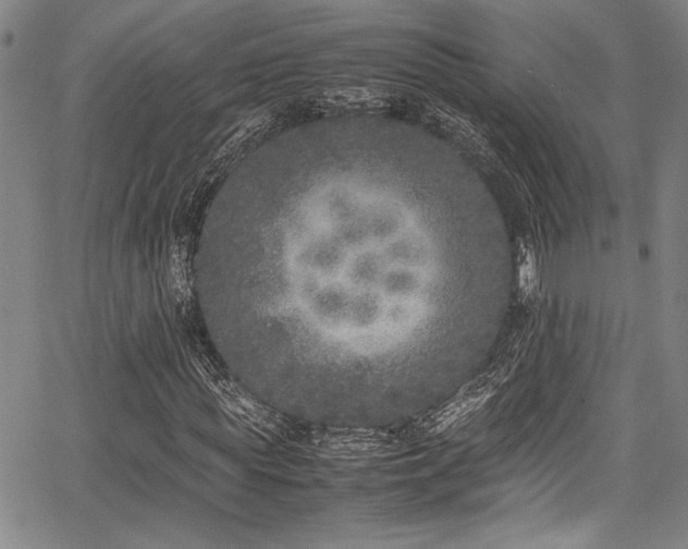 X0000067950819200604131433