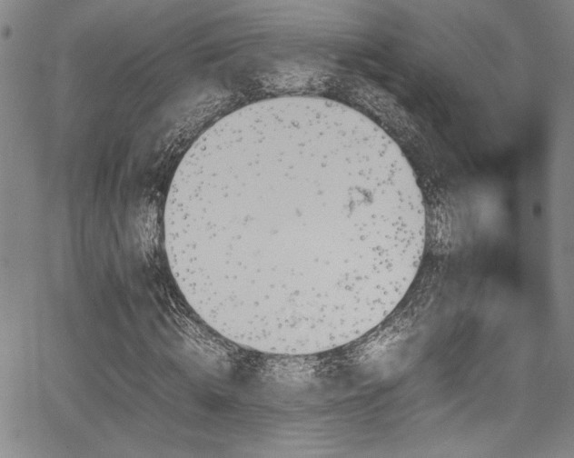 X0000067950820200604131433