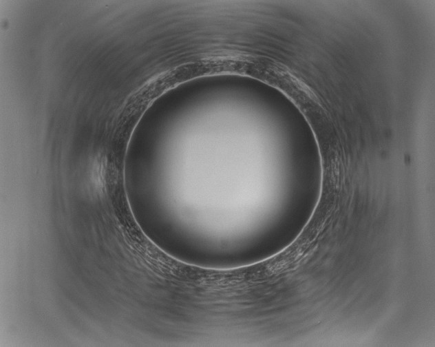 X0000067950821200604131433