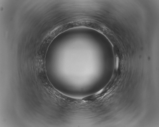 X0000067950822200604131433