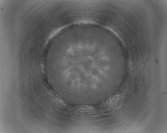 X0000067950823200604131433