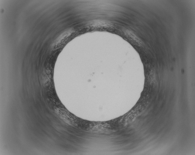 X0000067950824200604131433