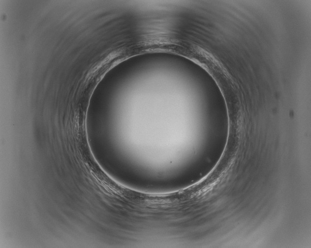 X0000067950825200604131433