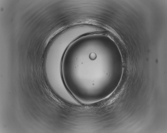 X0000067950826200604131433