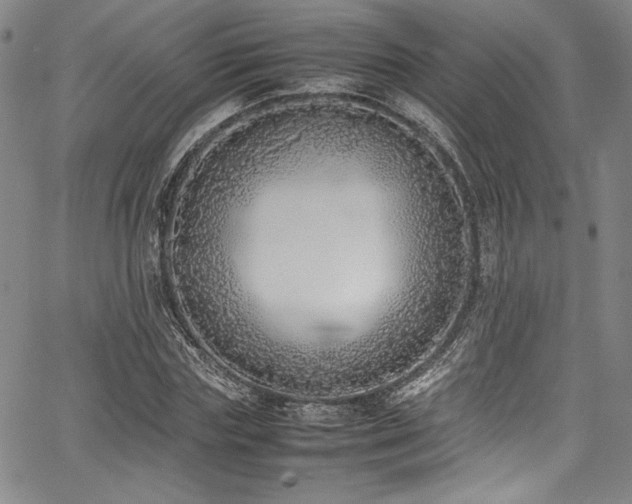 X0000067950827200604131433