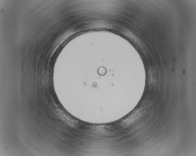 X0000067950828200604131433