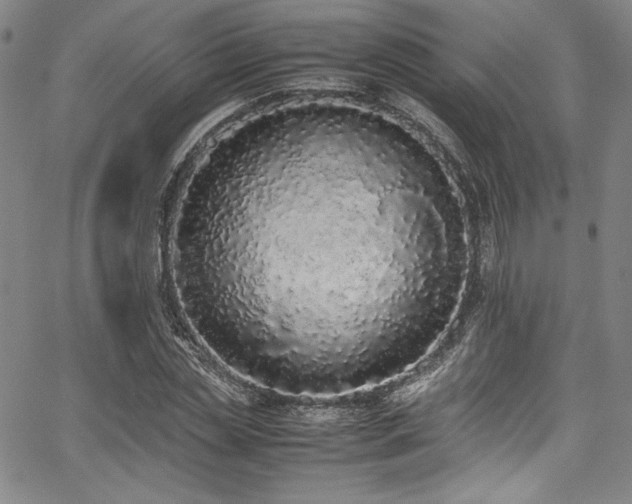 X0000067950829200604131433